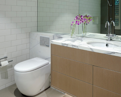 custom-stone-vanity-top-bathroom-btw-toilet-concealed-cistern-vanity ...